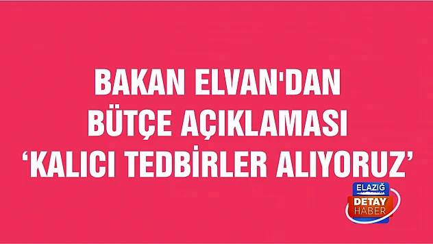 Bakan Elvan'dan bütçe açıklaması 'kalıcı tedbirler alıyoruz'