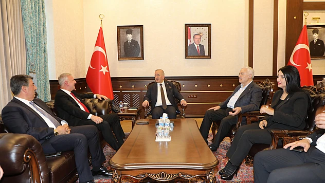 Cumhurbaşkanı Başdanışmanı Saral, Vali Hatipoğlu'nu ziyaret etti