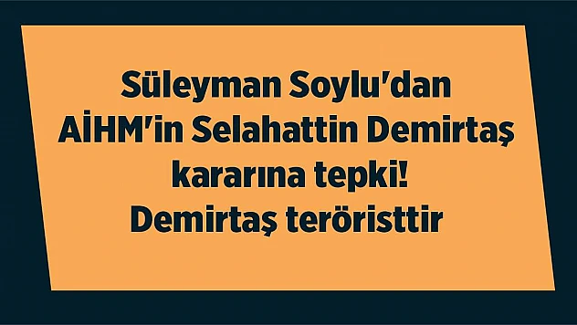 Süleyman Soylu'dan AİHM'in Selahattin Demirtaş kararına tepki! Demirtaş teröristtir
