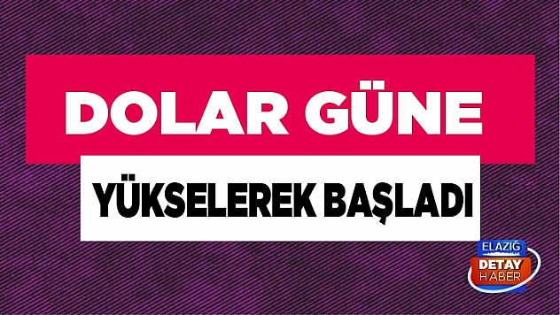 Dolar güne yükselerek başladı