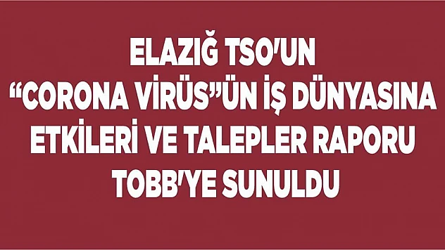 Elazığ TSO'un 'Corona Virüs'ün İş Dünyasına Etkileri ve Talepler Raporu TOBB'ye Sunuldu