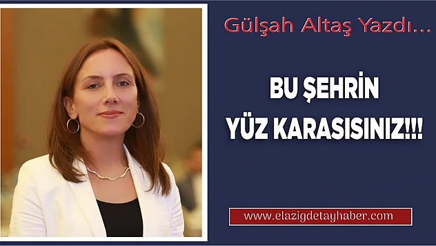  BU ŞEHRİN YÜZ KARASISINIZ!!!