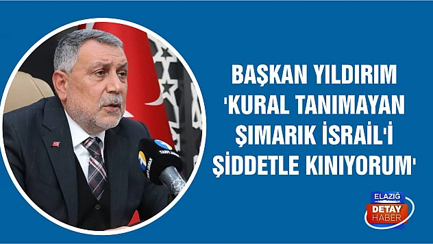 Başkan Yıldırım 'Kural tanımayan şımarık İsrail'i şiddetle kınıyorum'