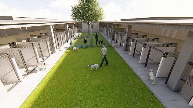 Elazığ'da sokak hayvanları için bakımevi ve doğal yaşam alanı projesi