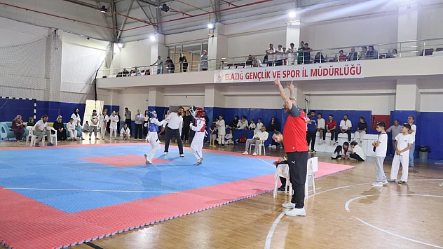Elazığ'da Taekwondo heyecanı!