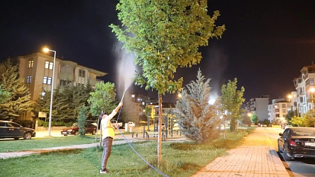 Elazığ'da yeşil alanlar ilaçlanıyor