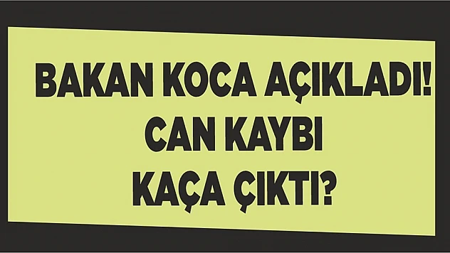 Koronavirüste Can Kaybı Kaça Çıktı?