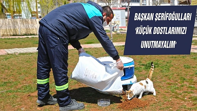 Başkan Şerifoğulları 'Küçük Dostlarımızı Unutmayalım'