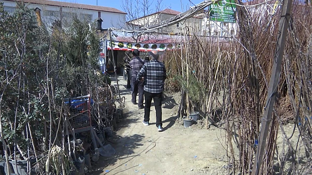 Fidan dikim sezonu başladı