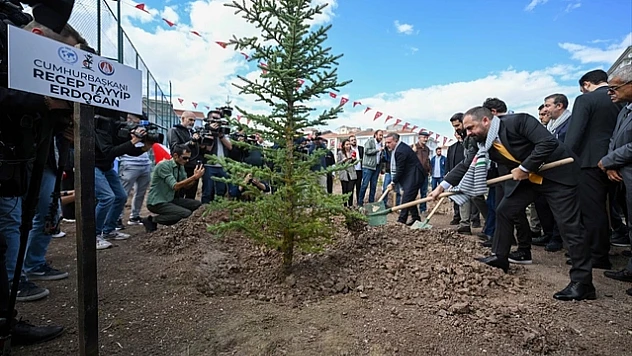 Filistinli gazeteciler anısına 273 fidan dikildi