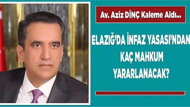 Avukat Aziz Dinç İnfaz Yasasını Değerlendirdi