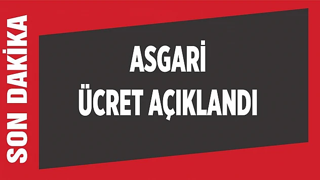 Asgari ücret açıklandı!
