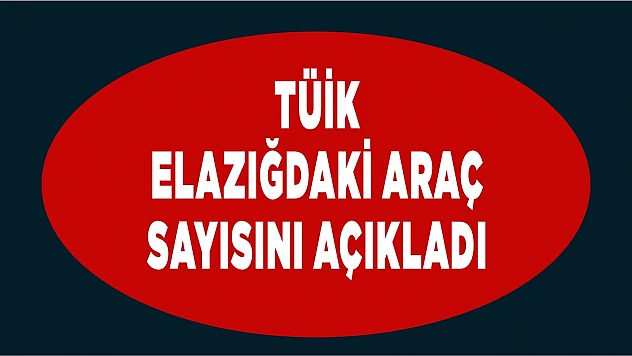 TÜİK Elazığ'ın Araç Sayısını Açıkladı