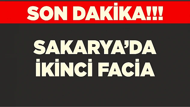 Sakarya'da ikinci facia!