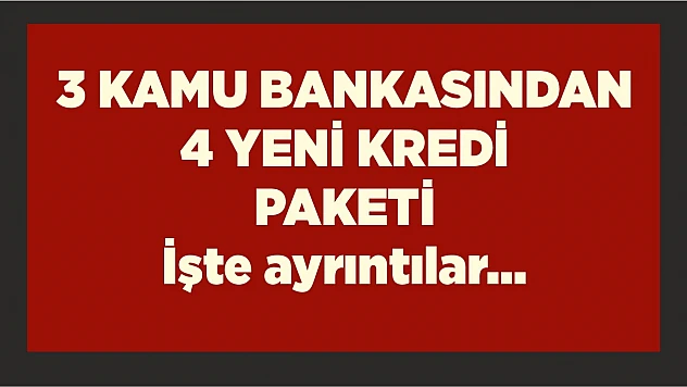 3 kamu bankasından 4 yeni kredi paketi!
