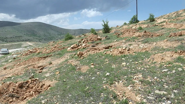 Hal Köyü'nde Hatıra Ormanı oluşturuldu