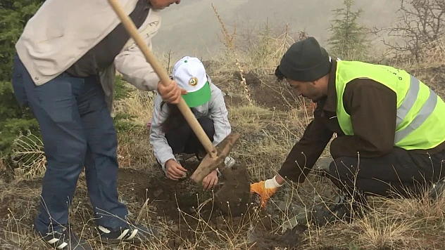 Harput'ta fidan dikildi