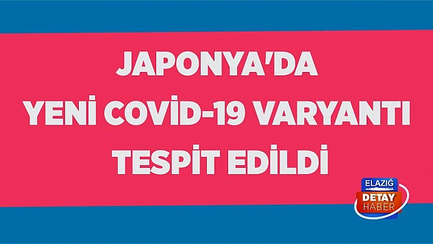 Japonya'da yeni Covid-19 varyantı tespit edildi