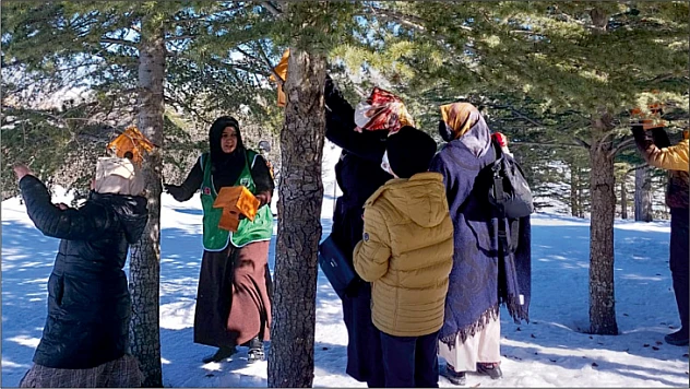 İHH Yetim Birimi kış şartlarında hayvanları unutmadı