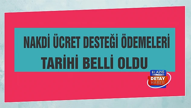 Nakdi ücret desteği ödemeleri tarihi belli oldu