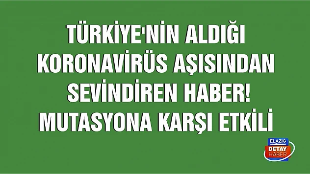 Türkiye'nin aldığı Çin koronavirüs aşısından sevindiren haber! 