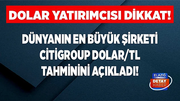 Dolar yatırımcısı dikkat! Dünyanın en büyük şirketi Citigroup dolar/TL tahminini açıkladı!