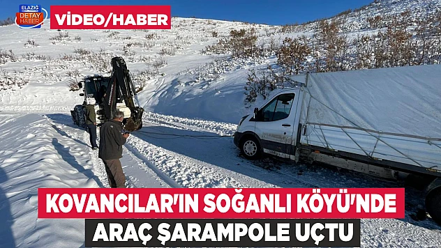 Kovancılar'ın Soğanlı Köyü'nde hayvan taşıma aracı devrildi