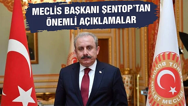 Meclis Başkanı'ndan 'Enis Berberoğlu' yorumu!