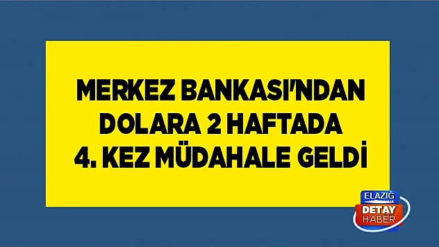 Merkez Bankası'ndan dolara 2 haftada 4. kez müdahale geldi