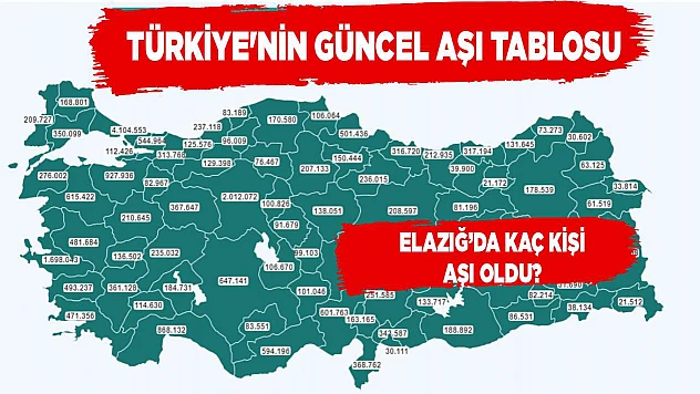 Türkiye'nin güncel aşı tablosu