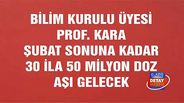 Bilim Kurulu Üyesi Prof. Kara Şubat Sonuna Kadar 30 İla 50 Milyon Doz Aşı Gelecek