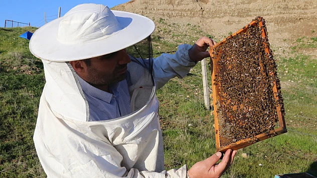 Tarım ve Orman Bakanlığı'ndan arıcılara ilave şeker arzı 