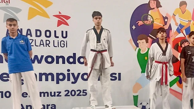 Teakwondo'dan Türkiye dereceleri