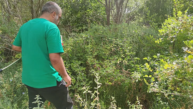 Türkiye'nin entomolojik çeşitliliğine yeni bir halka daha eklendi