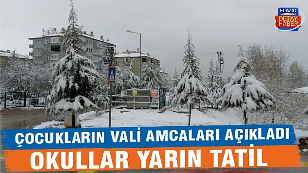 Vali Hatipoğlu açıkladı! Okullar tatil