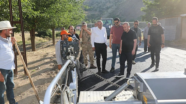 Vali Hatipoğlu Palu'da incelemelerde bulundu