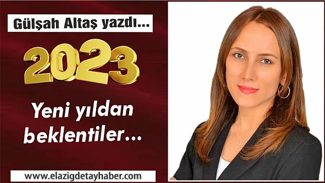 Yeni yıldan beklentiler