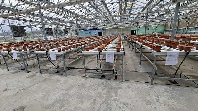 YÖK Başkanı Prof. Dr. Erol Özvar'a FÜ'de endemik bitki üretimi tanıtıldı