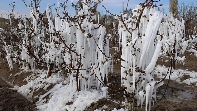 Zirai dondan etkilenen çiftçilere destekleme ödemesi yapılacak