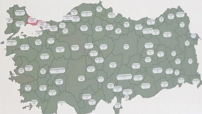 Koronavirüste hangi ilde kaç can kaybı var?