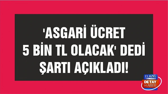 'Asgari ücret 5 bin TL olacak' dedi şartı açıkladı! 