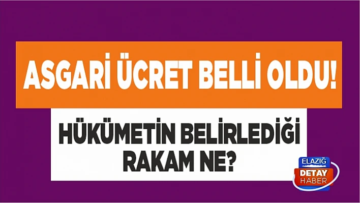 Asgari ücret belli oldu! Hükümetin belirlediği rakam ne?