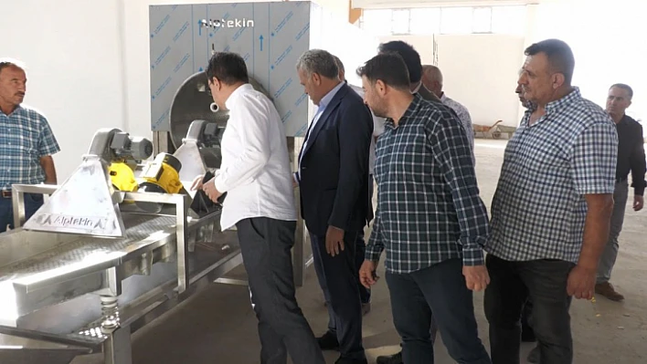 Başkan Akmurat Kayısı İşleme Entegre Tesisini inceledi 