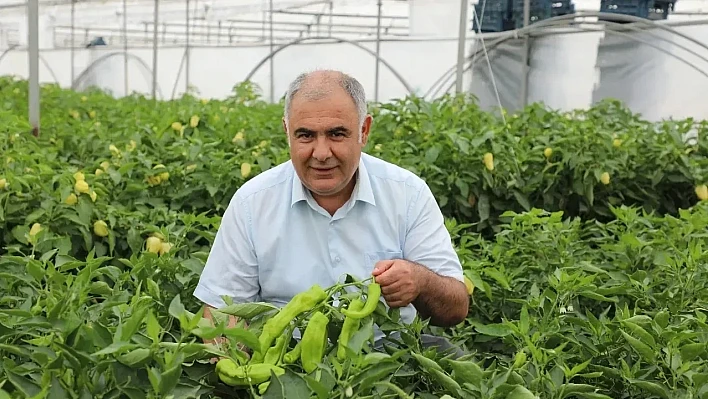 Bitki gelişimi ve üretim koşulları yerinde değerlendirildi