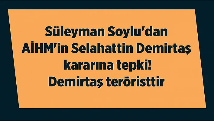 Süleyman Soylu'dan AİHM'in Selahattin Demirtaş kararına tepki! Demirtaş teröristtir