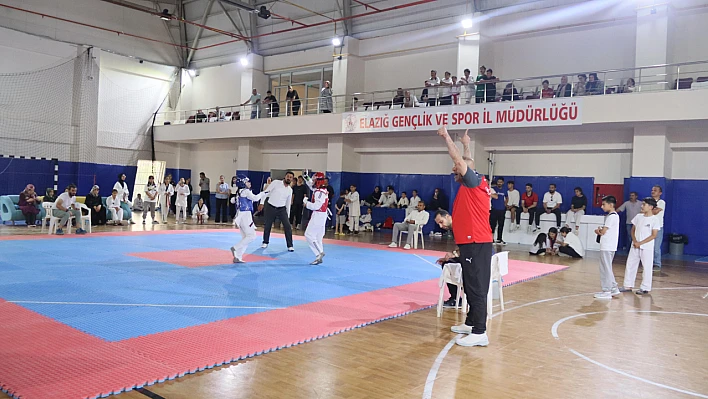 Elazığ'da Taekwondo heyecanı!