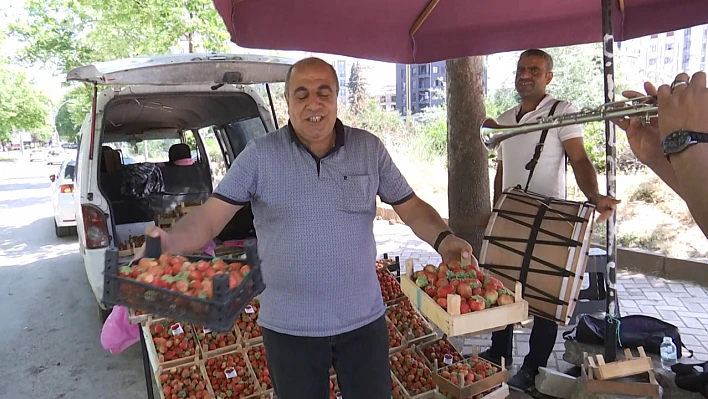 Elazığ'ın fenomen çilekçisi Deveci'den acı haber