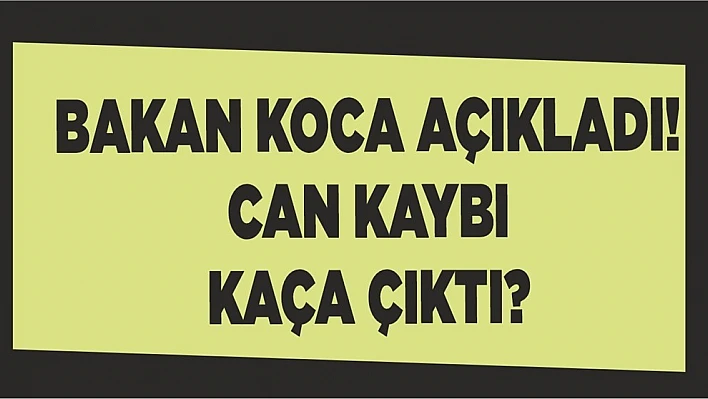 Koronavirüste Can Kaybı Kaça Çıktı?