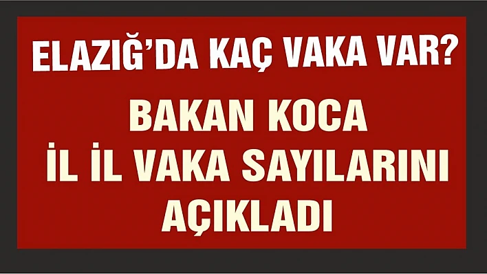 Elazığ'da Kaç Vaka Var?