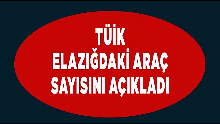 TÜİK Elazığ'ın Araç Sayısını Açıkladı